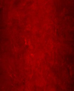 Dámské funkční spodky dlouhé RED VELVET černá Bamboo Thermo