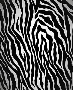 Dámské funkční spodky dlouhé ZEBRA černá Bamboo Light New