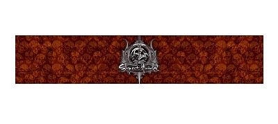 Funkční čelenka SKULL