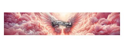 Funkční čelenka WINGS