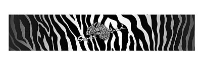 Funkční čelenka ZEBRA RUN