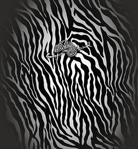 Multifunkční šátek ZEBRA