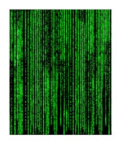 Pánské funkční spodky dlouhé MATRIX bílá Bamboo Thermo
