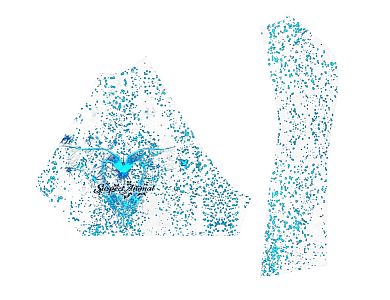 VÝPRODEJ - Dámské funkční triko krátký rukáv HEART bílá Bamboo Ultra, M
